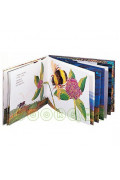 艾瑞．卡爾創意童話寶盒(5本經典圖畫書+1片故事動畫DVD+1本名家導讀手冊)