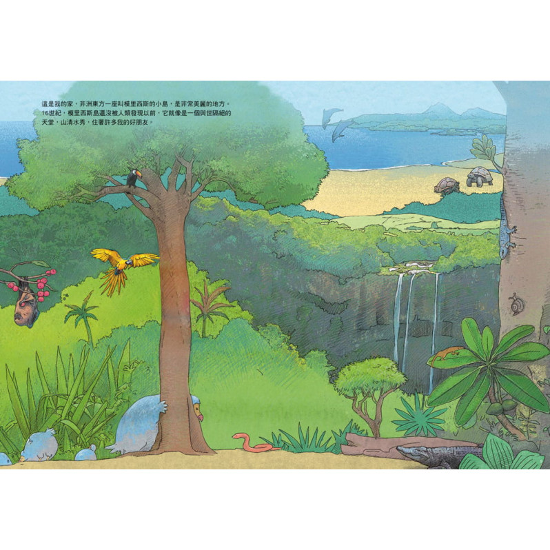 大卡樹與多多鳥：模里西斯島生態故事