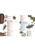 驚人大發現！動物演化驚奇圖鑑：原來以前動物長這樣？